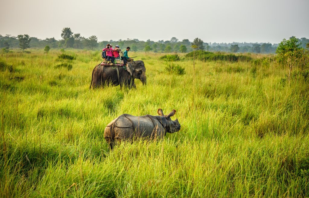 Kaziranga National Park